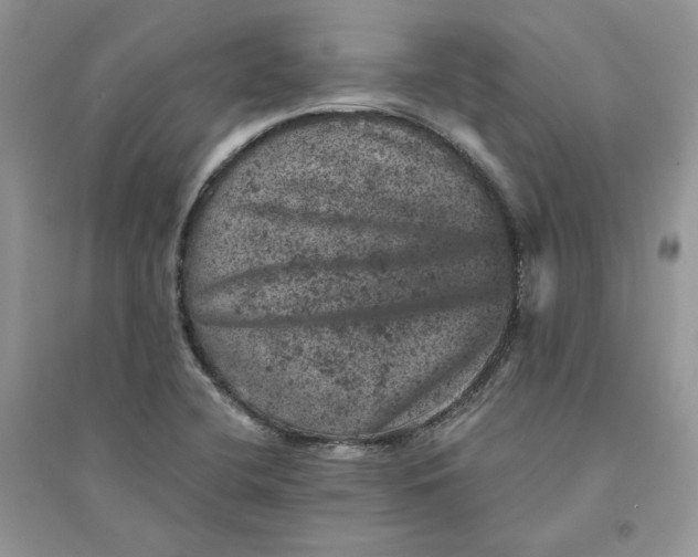 X0000094441412200711291625