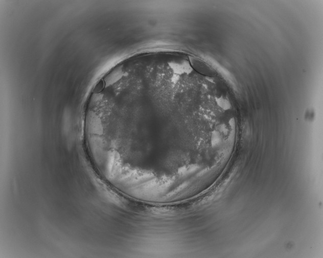 X0000094441413200711291625