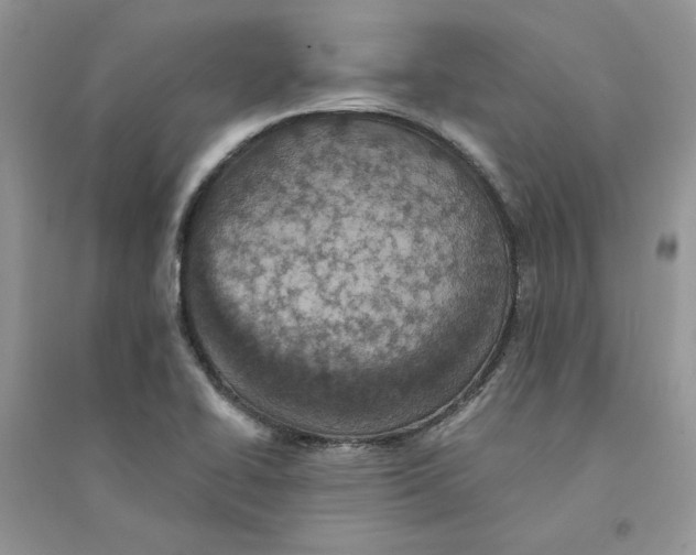 X0000094441414200711291625