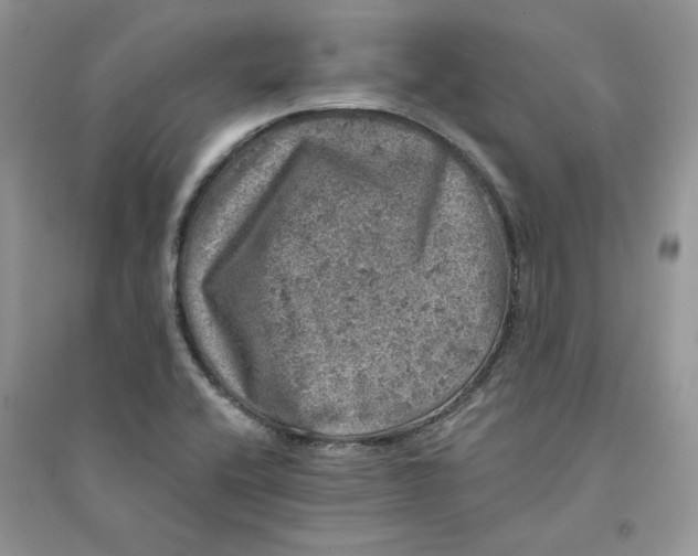 X0000094441416200711291625