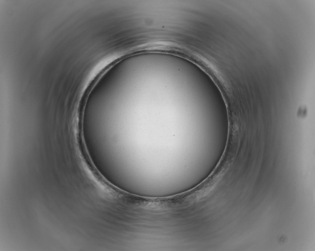 X0000094441418200711291625