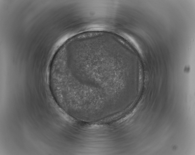 X0000094441419200711291625