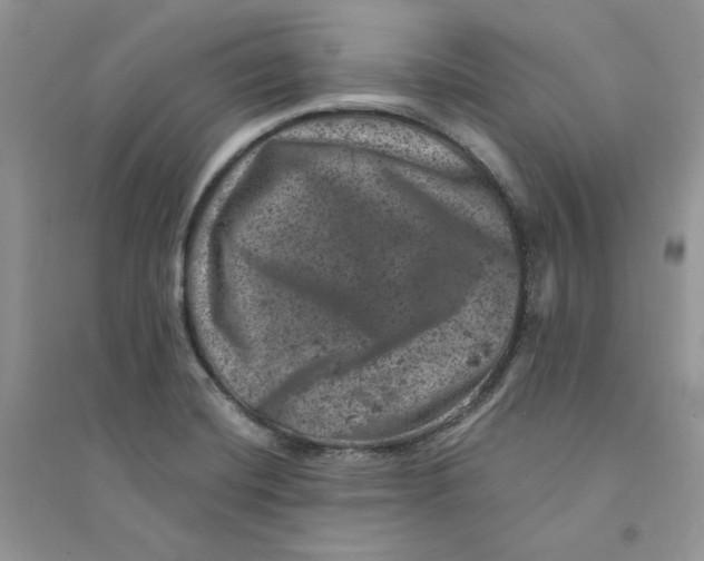 X0000094441420200711291625