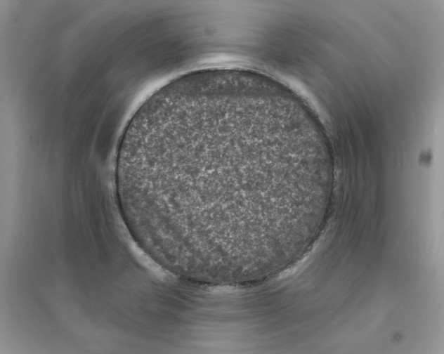 X0000094441421200711291625