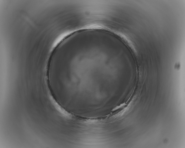 X0000094441422200711291625