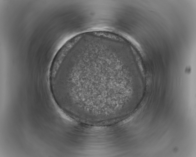 X0000094441423200711291625