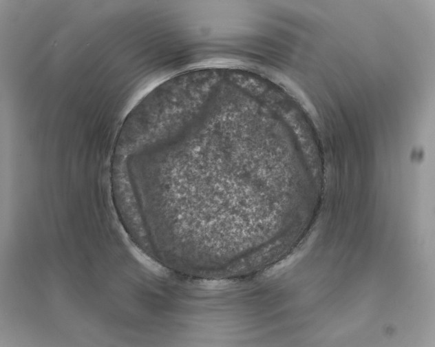 X0000094441425200711291625