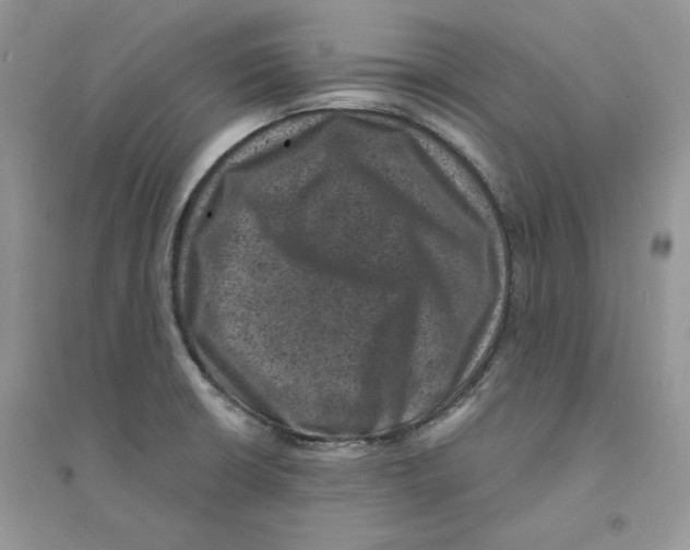 X0000094441426200711291625