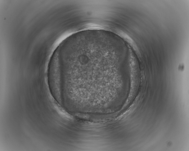 X0000094441427200711291625