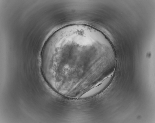 X0000094441428200711291625