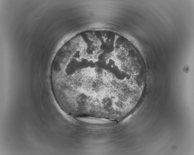 X0000094441429200711291625