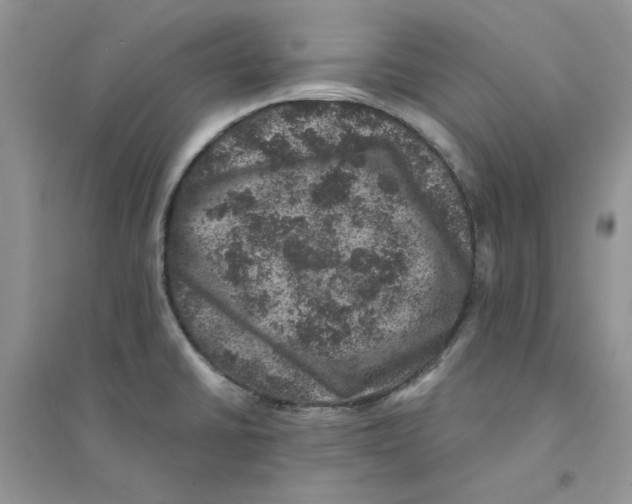 X0000094441430200711291625