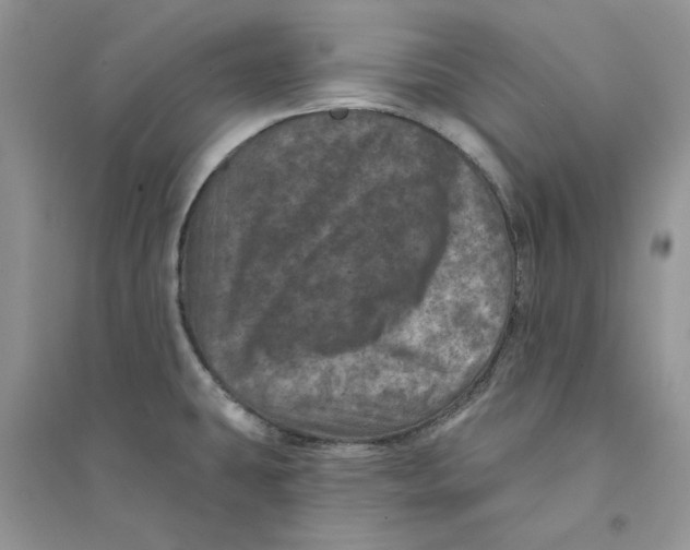 X0000094441431200711291625