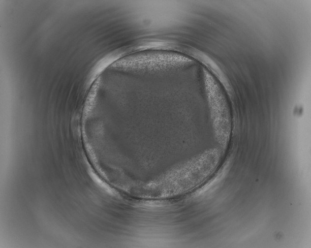 X0000094441433200711291625