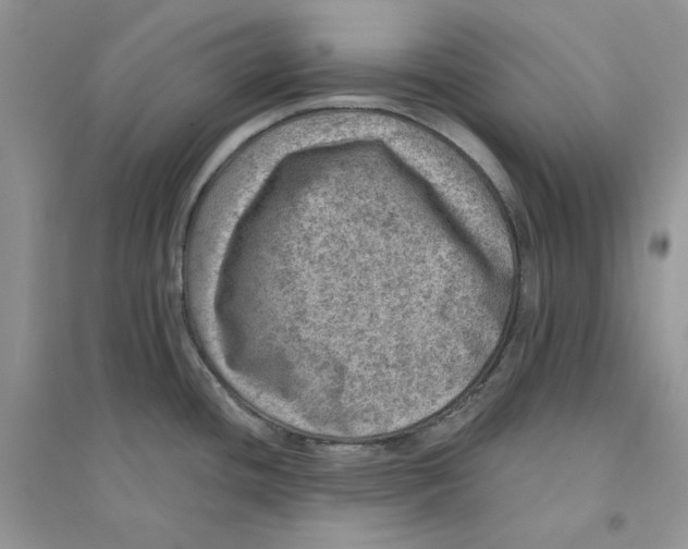 X0000094441436200711291625