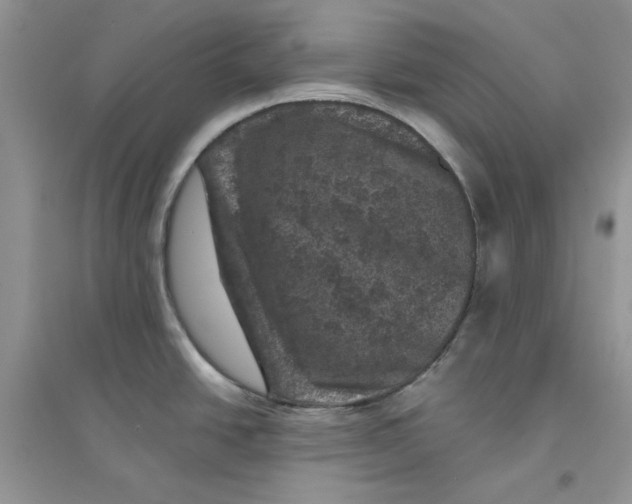 X0000094441438200711291625