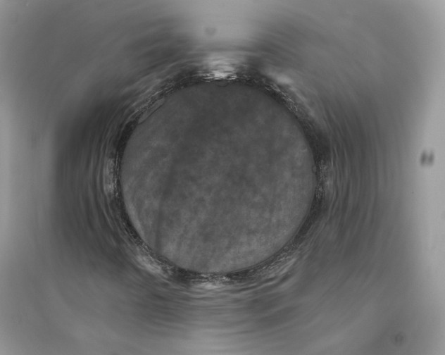 X0000094441442200711291625