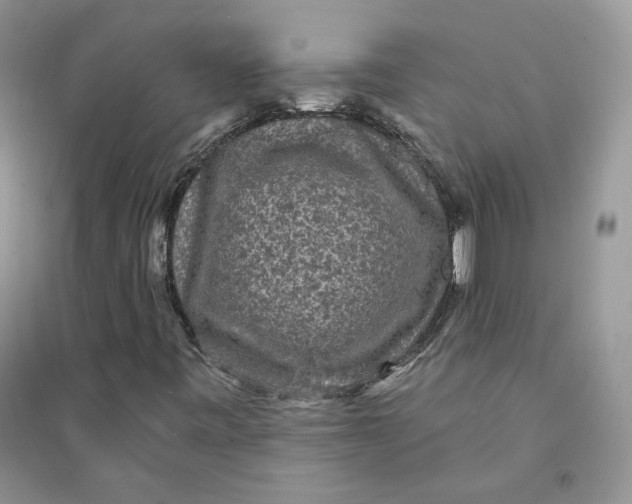 X0000094441443200711291625