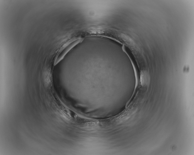 X0000094441444200711291625