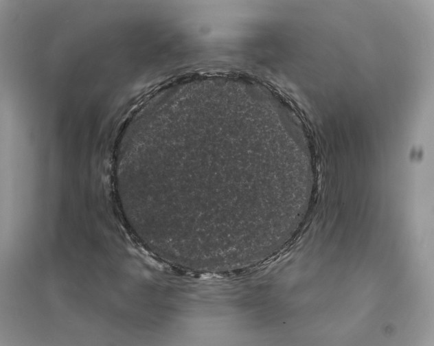 X0000094441445200711291624