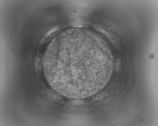 X0000094441446200711291624