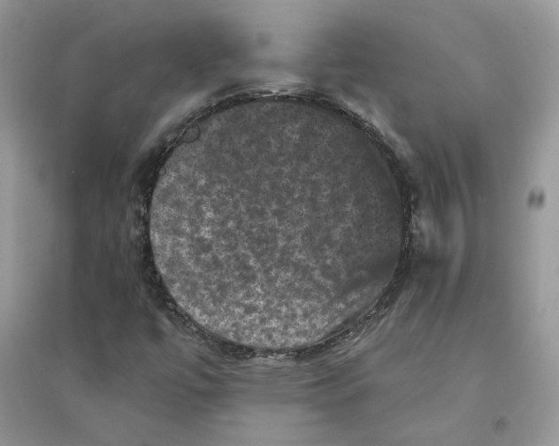 X0000094441447200711291624