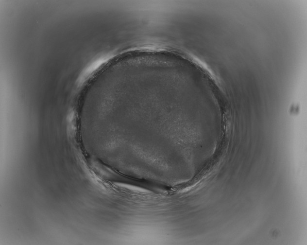 X0000094441448200711291624