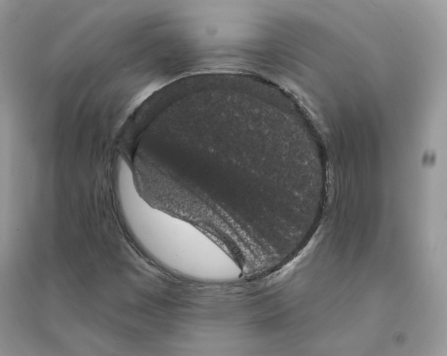 X0000094441449200711291624