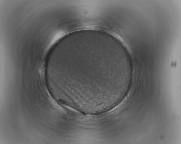 X0000094441450200711291624