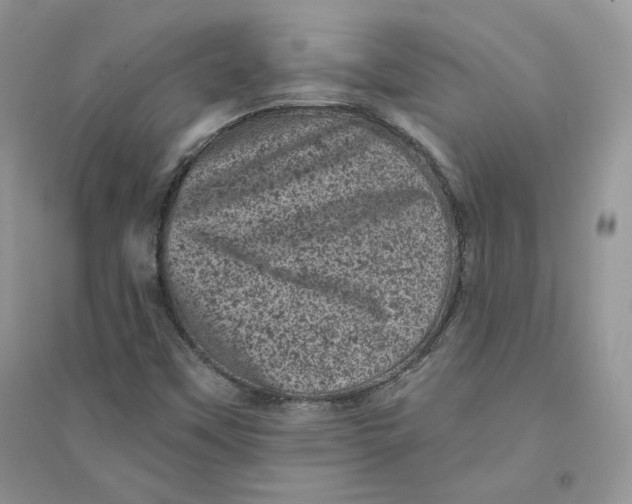 X0000094441451200711291624