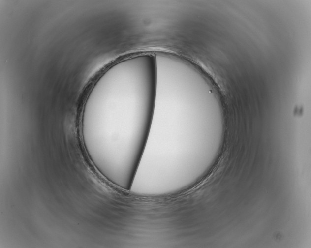 X0000094441452200711291624