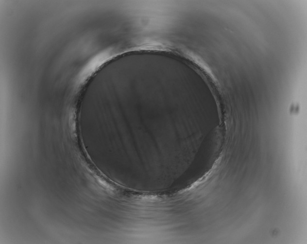 X0000094441455200711291624