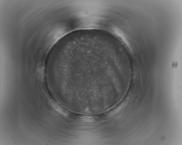 X0000094441457200711291624