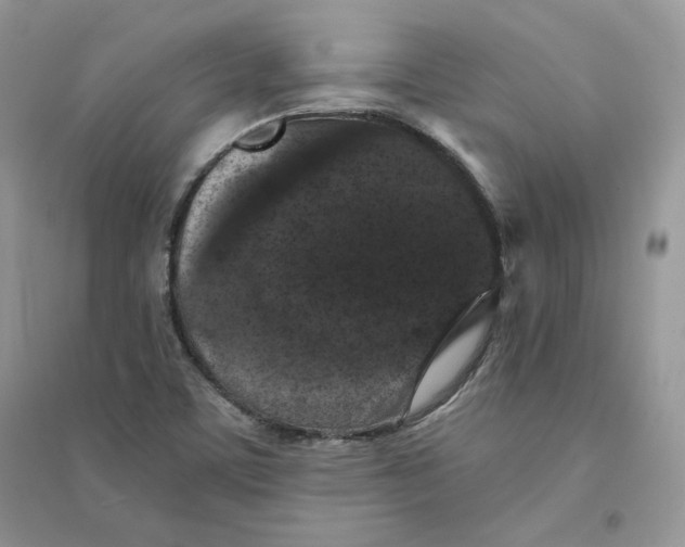 X0000094441459200711291624