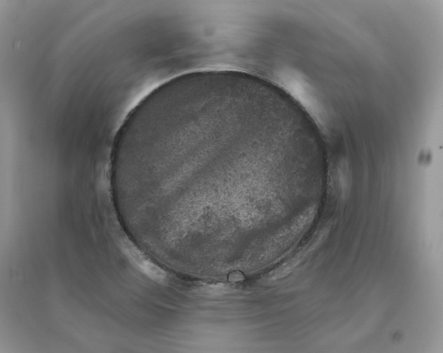 X0000094441460200711291624