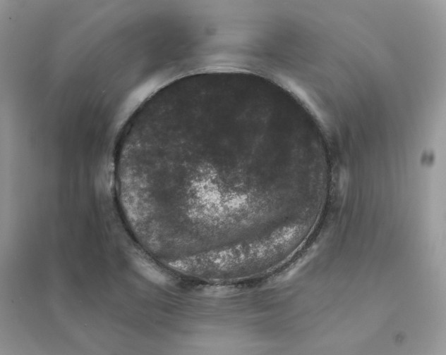 X0000094441461200711291624