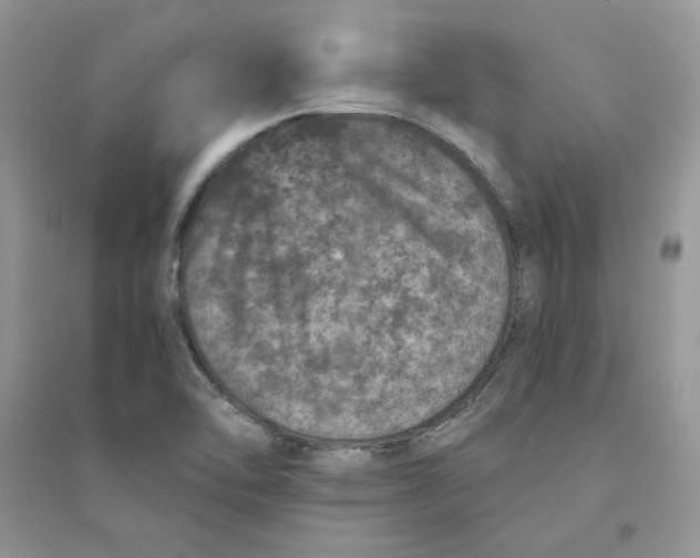 X0000094441462200711291624