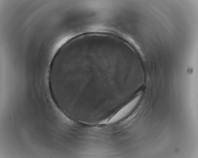 X0000094441463200711291624