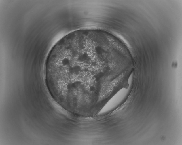 X0000094441467200711291624