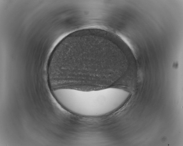 X0000094441468200711291624