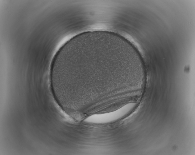 X0000094441469200711291624