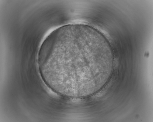 X0000094441470200711291624