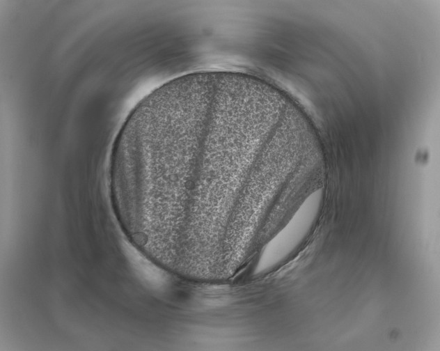 X0000094441471200711291624