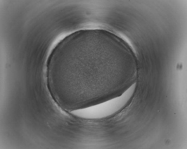 X0000094441472200711291624