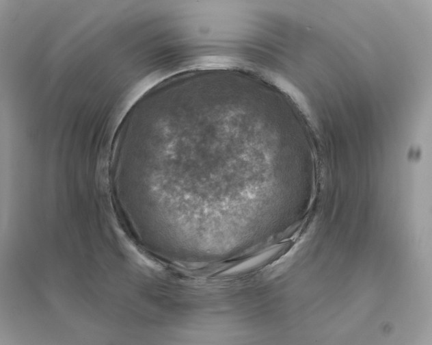 X0000094441473200711291624