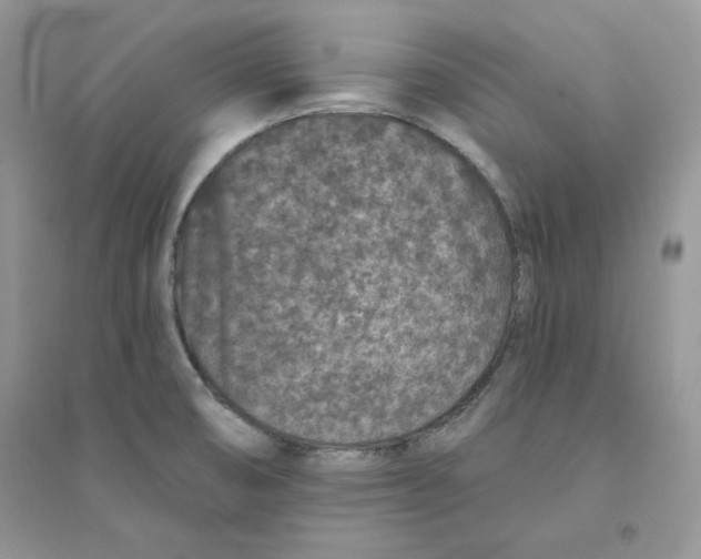 X0000094441474200711291624