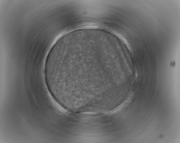 X0000094441475200711291624