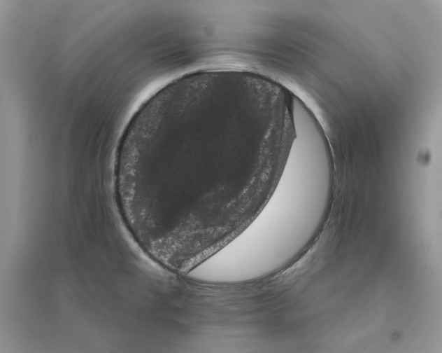 X0000094441477200711291624