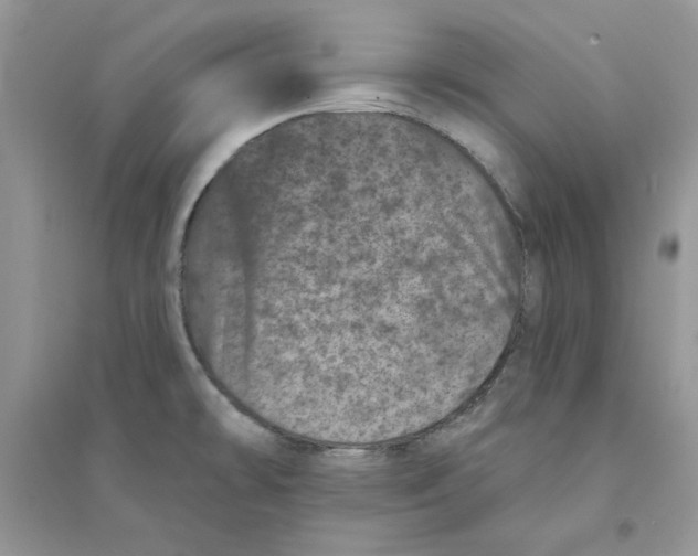 X0000094441478200711291624