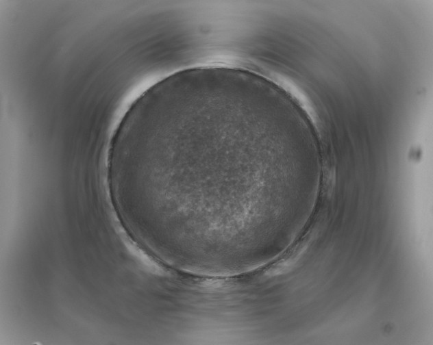 X0000094441480200711291624